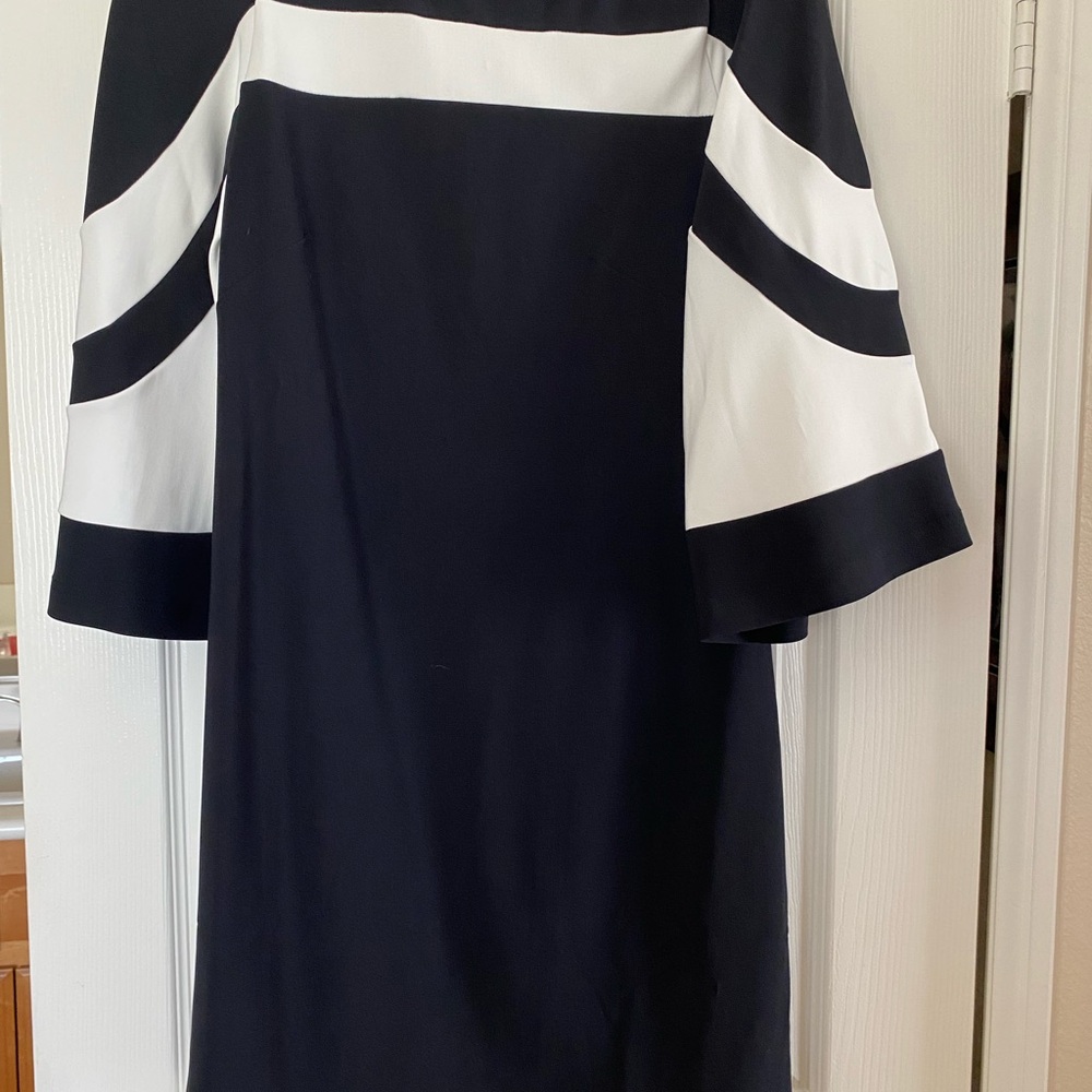 Boston Proper Blue and White Sheath Dress 3/4 Raglan Sleeves